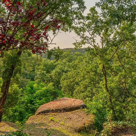 Hostwise - Quiet & Modern With Pool & River *