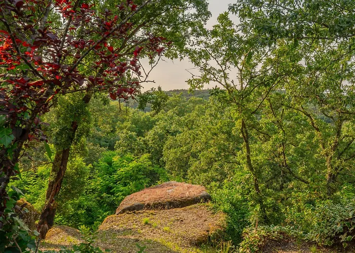 Hostwise - Quiet & Modern With Pool & River *